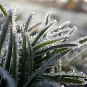 Lawn Maintenance Tips - de-icing products