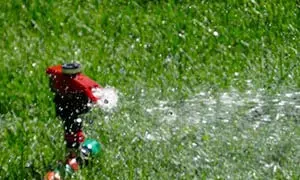 What You Need to Know to Maintain Grass - Lawn King