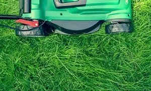 The Benefits of Hiring a Lawn Care Company