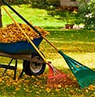 fall clean-up